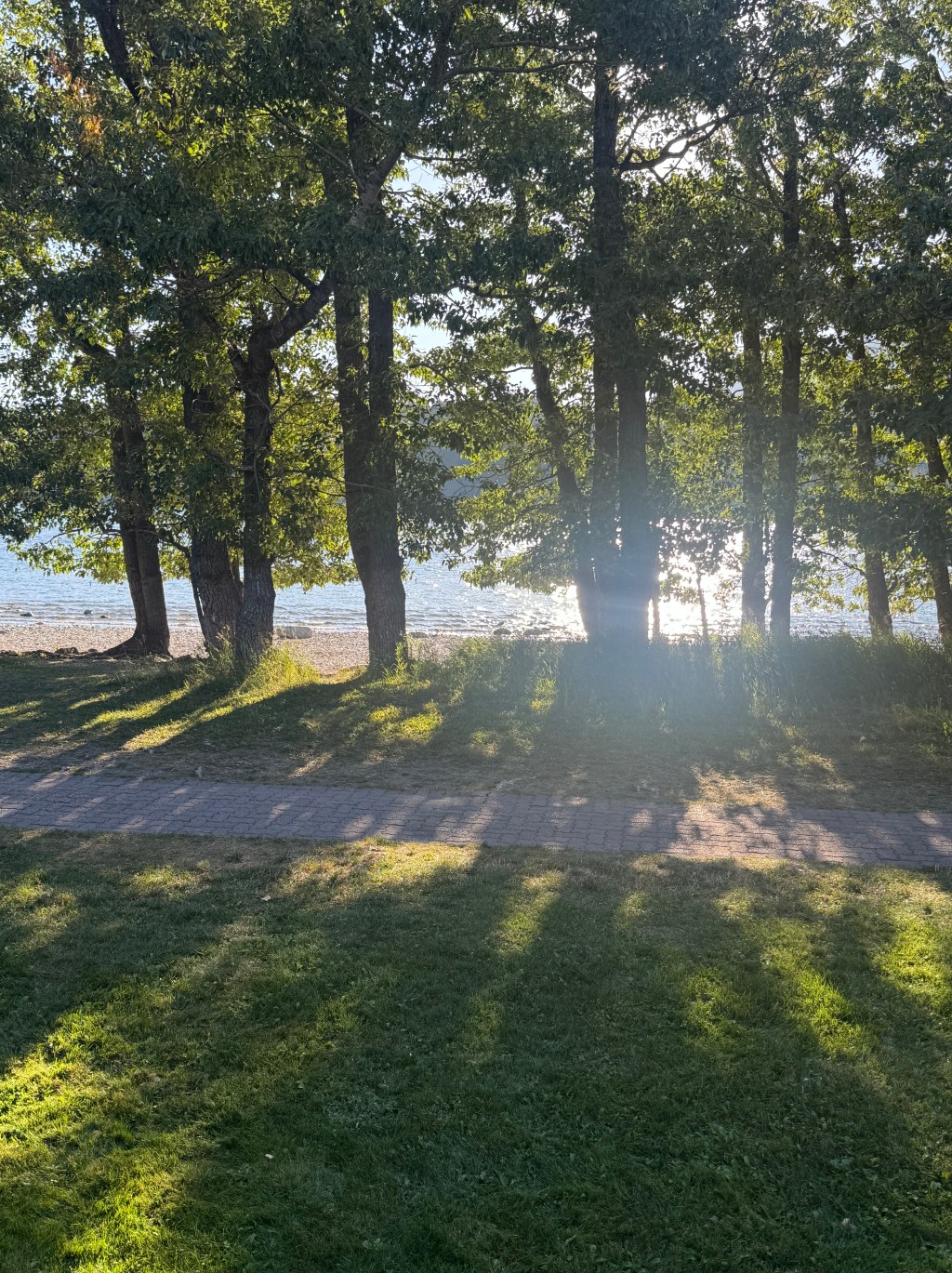 Rooted in the&nbsp;In-Between